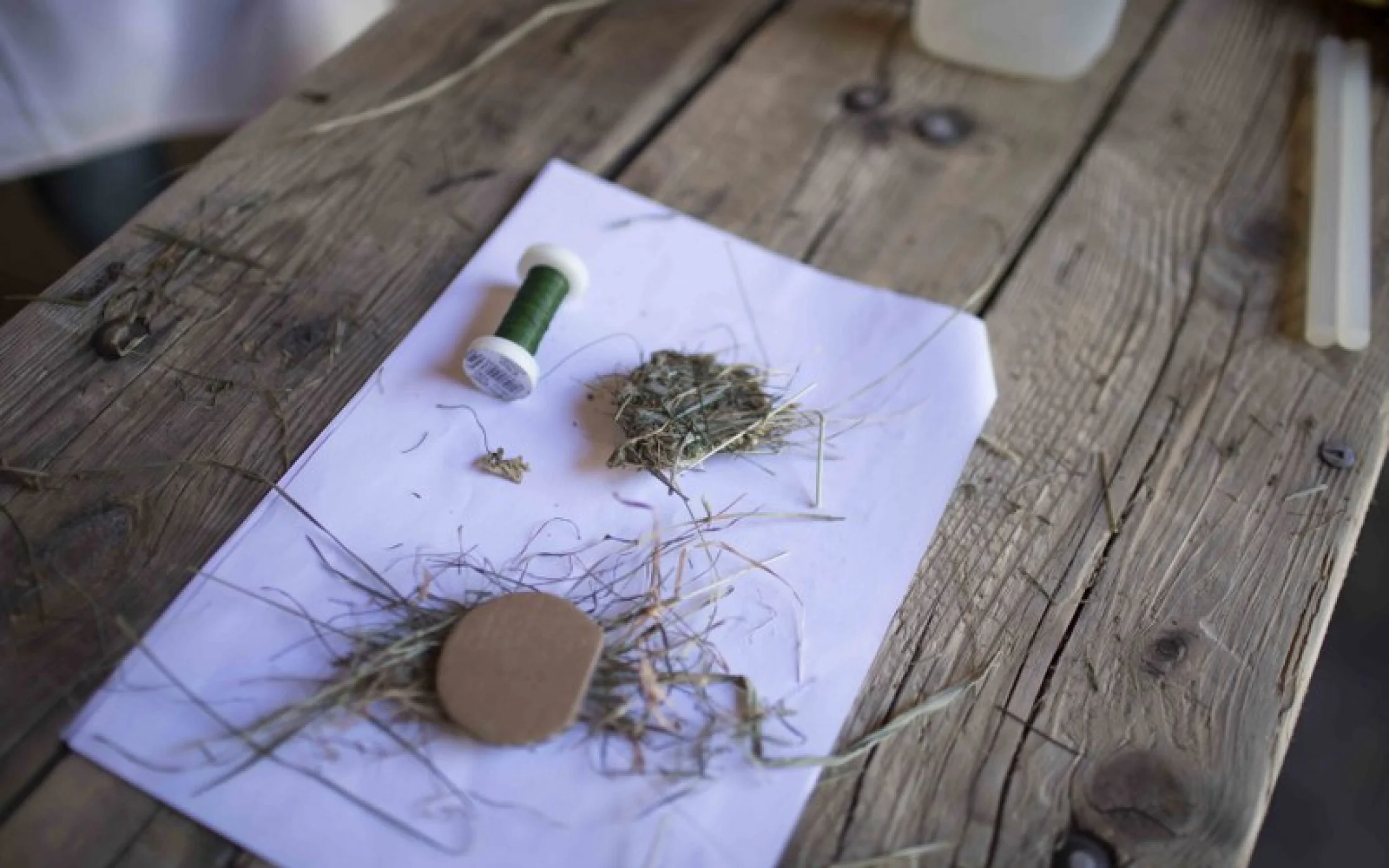 Bild6 Heumaus_JohannaLarcherarminhuber_2017 37_800x533.jpg